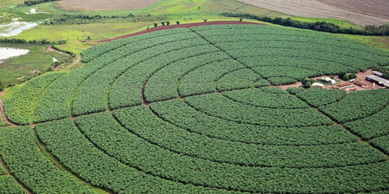 Índice de Confiança do Agronegócio tem melhor resultado trimestral
