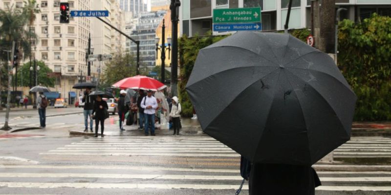 Chuvas causam queda de árvores e pontos de alagamento em SP