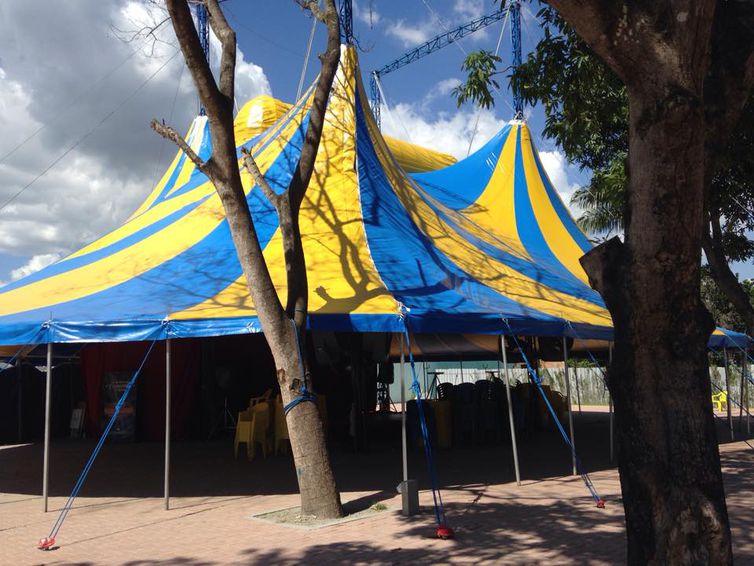 Circo Teatro Saltimbanco / Divulgação