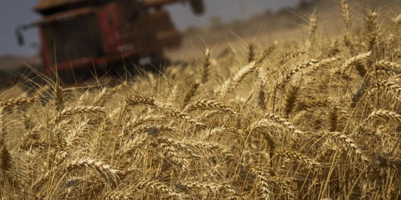 IBGE projeta safra recorde de 293,6 milhões de toneladas para 2023