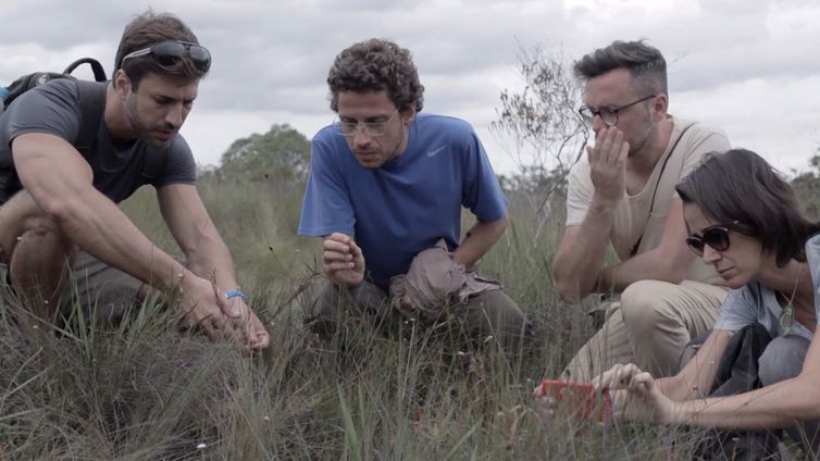 Programa terra Brasil