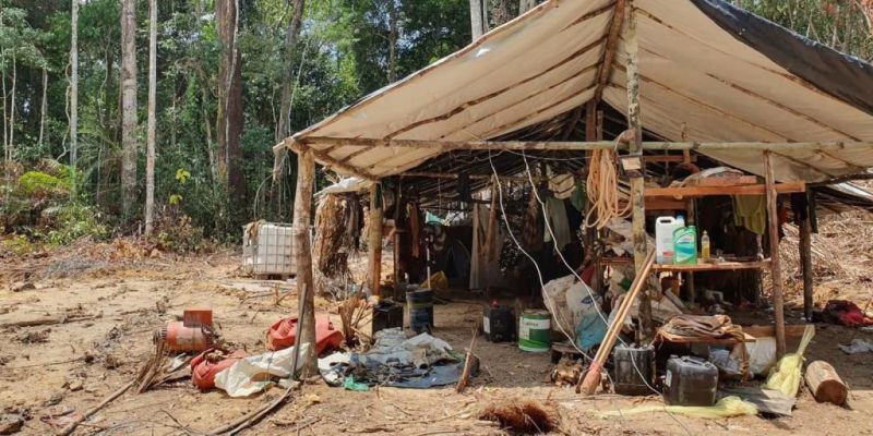 Terra Yanomami: garimpo ilegal causou alta de 309% no desmatamento