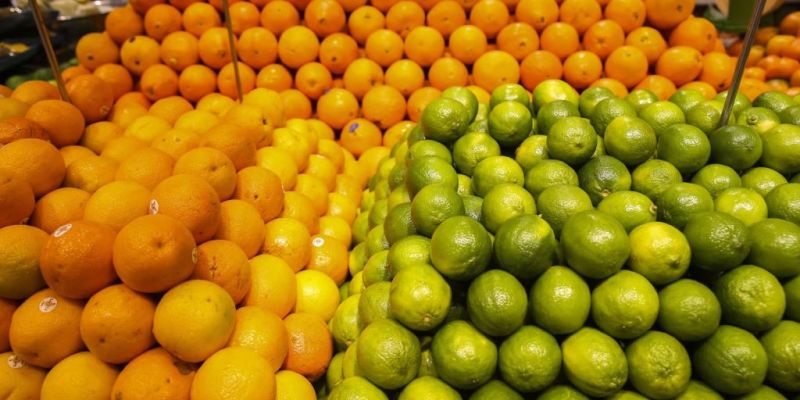 Conab diz que frutas registram queda de preços
