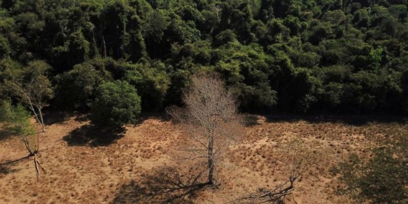 Brasil registra alta na emissão de gases de efeito estufa