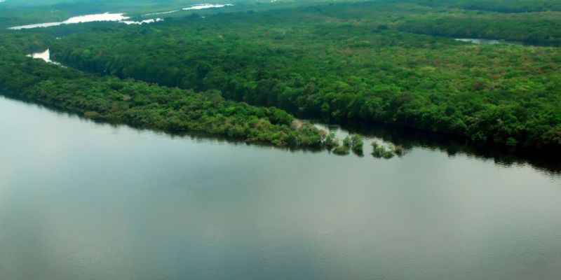 EUA estão empenhados em arrecadar recursos vultosos para Amazônia