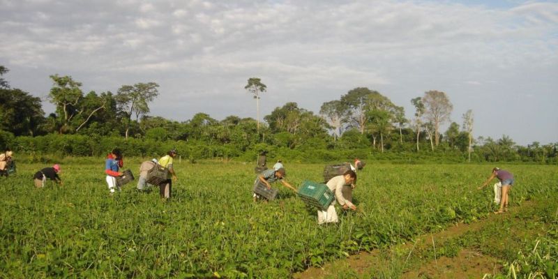 PAA: agricultores contam como melhoraram a renda e combateram a fome