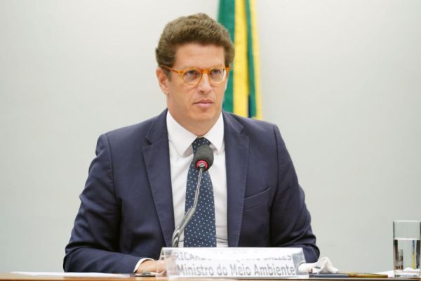 Possível indicação de Salles para Comissão do Meio Ambiente gera críticas de políticos e especialistas