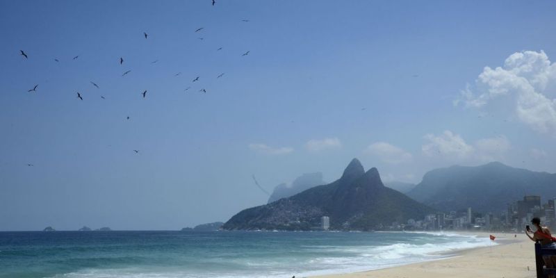 Banco de amostras de albatrozes e petréis tem expansão de 57,5%