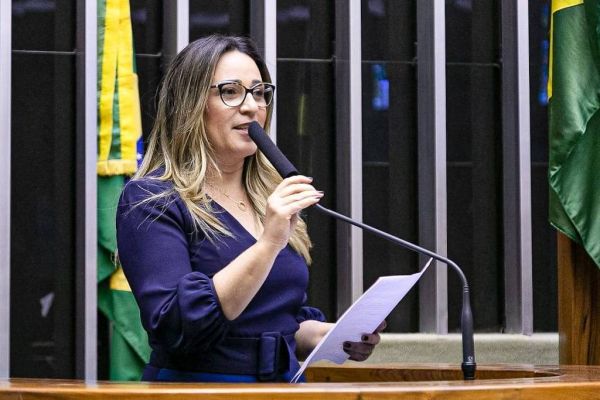Deputada renuncia, e Câmara tem três mudanças em relação à eleição