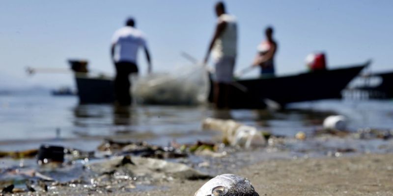 Baía de Guanabara tem neste sábado um dia de limpeza
