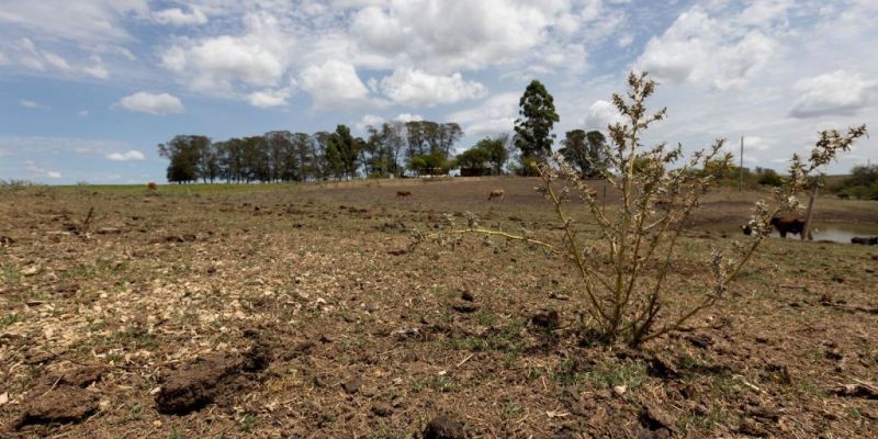 Com seca, 12 cidades gaúchas vão receber socorro de R$ 2,2 milhões