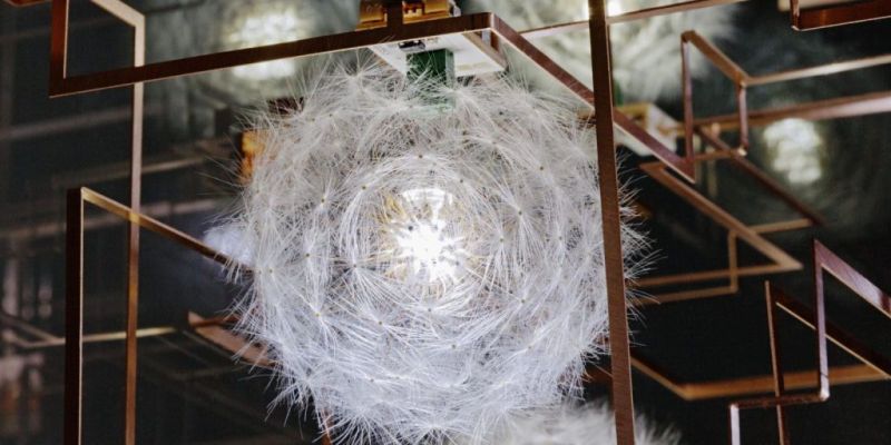 Exposição no Rio explora conexões entre tecnologia e natureza