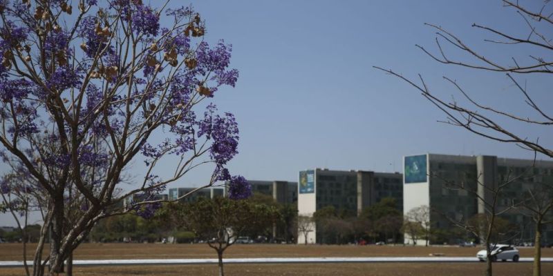 Cai a participação de mulheres em cargos no governo federal