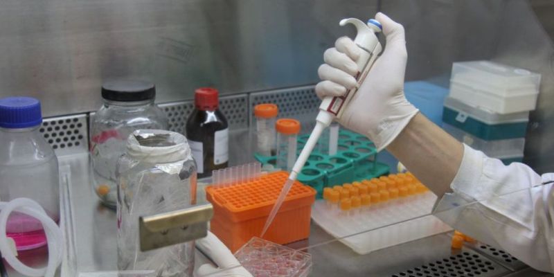 Pesquisadoras tratam dos desafios da carreira para mulheres no país