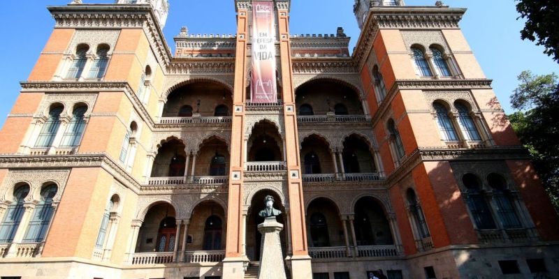 InfoDengue lança e-book sobre dengue e mudanças climáticas