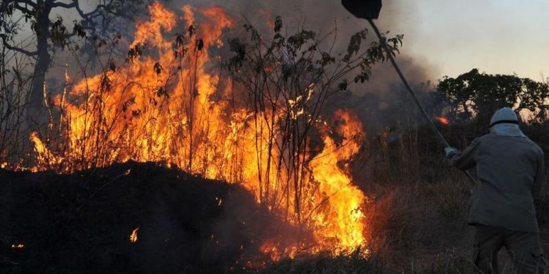 Amazônia concentra 90% da área com focos de incêndio no 1º bimestre