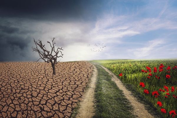 Congresso deve se mostrar disposto a lidar com crise climática