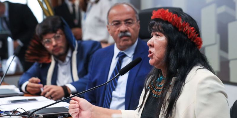 Presidenta da Funai elege medidas urgentes para terra Yanomami