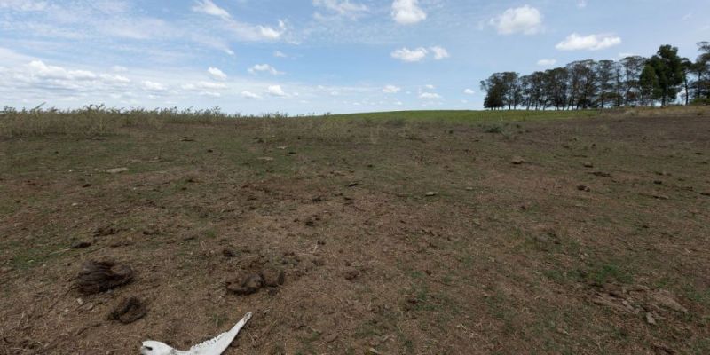 Governo lança plataforma para identificar vulnerabilidades climáticas