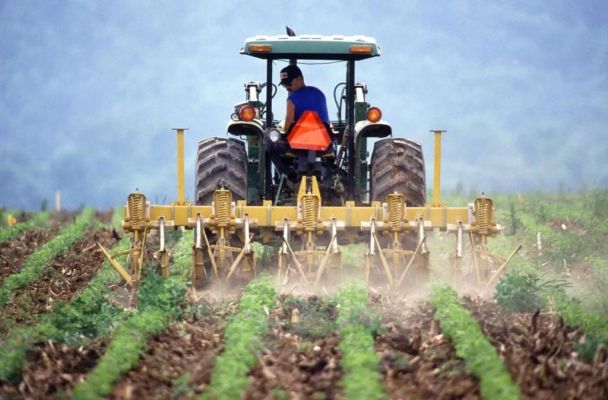 Grupo da reforma tributária acena com alíquota diferenciada para o agronegócio