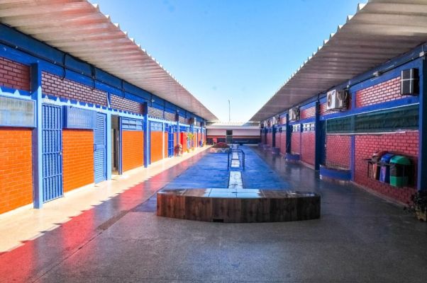Parlamentares buscam solução para atentados em escolas