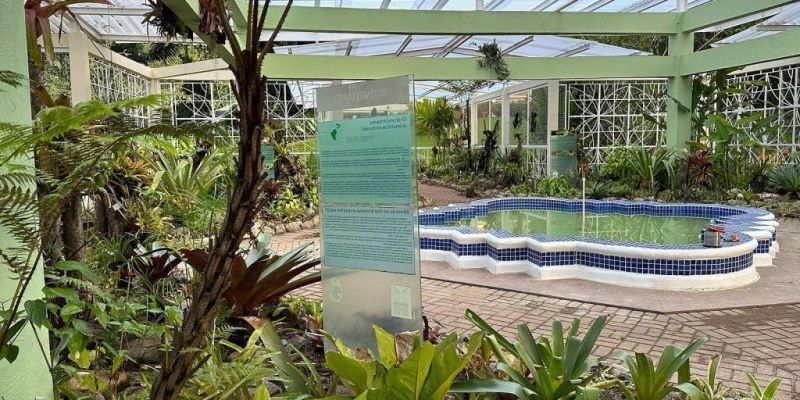 Jardim Botânico do Rio reabre bromeliário, após nove meses de obras