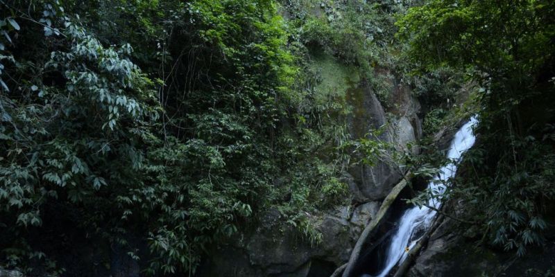 Prospecção contribui para aumento de trilhas na Mata Atlântica