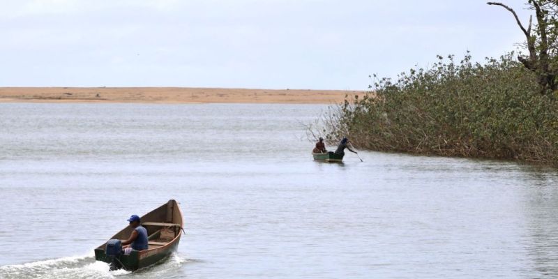 Rio Doce: painel vê reparação de longo prazo e Renova admite problemas