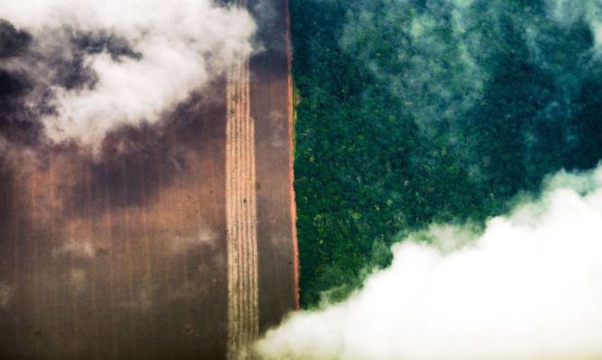 Banco Mundial defende revisão do modelo de crescimento para proteger floresta e biodiversidade