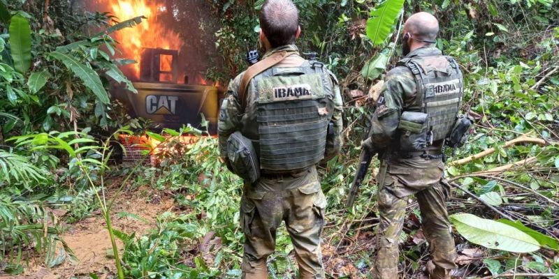 Queimadas caíram 96% em Terra Indígena Yanomami