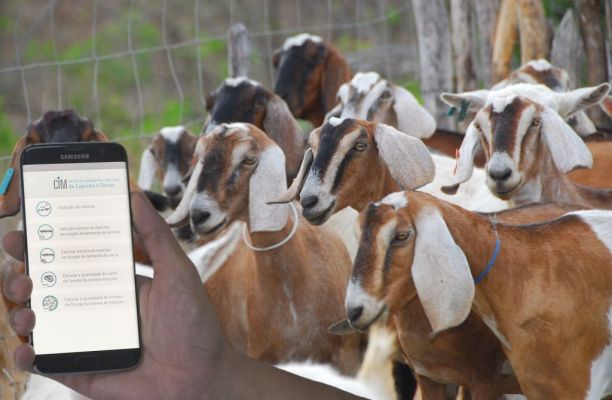 Ciência abre novas oportunidades na produção de espécies