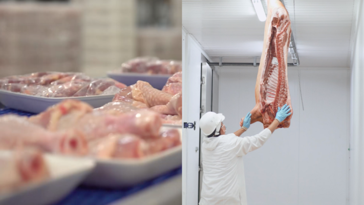 Santa Catarina vai se tornar a grande potência de carne do Brasil
