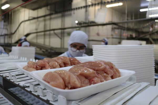 Santa Catarina ultrapassa US$ 1 bi em exportação de carnes no 1º quadrimestre de 2023
