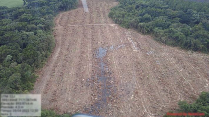 Paraná aplica R$ 3,6 milhões em multas por desmatamento