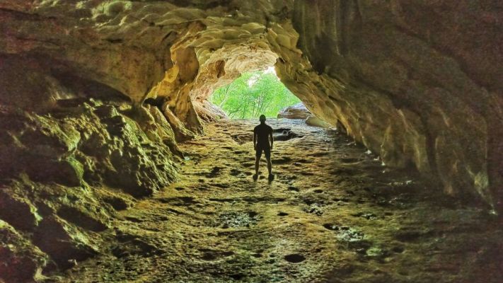 O homem das cavernas cibernético