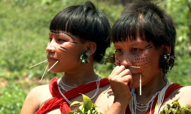 Relatório do Senado sobre os Yanomami só sairá depois do Censo