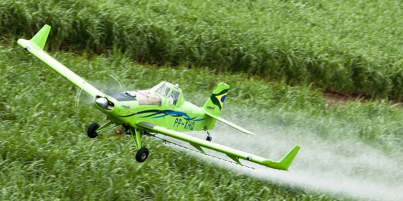 STF mantém lei do Ceará que proibiu pulverização aérea de agrotóxicos