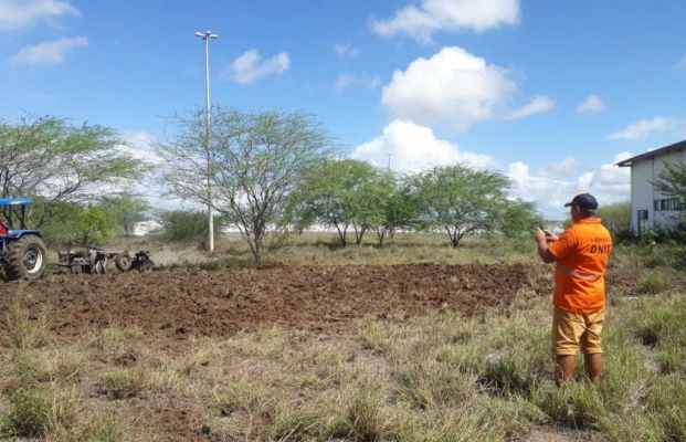 Chuvas impactam produção de milho e comércio de camarão
