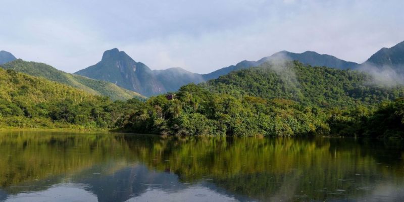 Ministro do STF pede manifestação de Lira sobre MP da Mata Atlântica