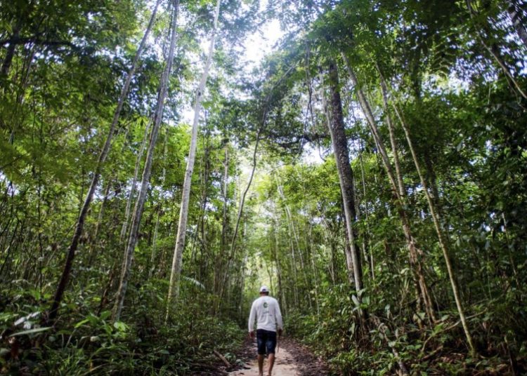 Câmara realiza audiência sobre sociobioeconomia