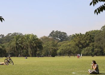 São Paulo celebra Semana do Meio Ambiente com atividades diversas