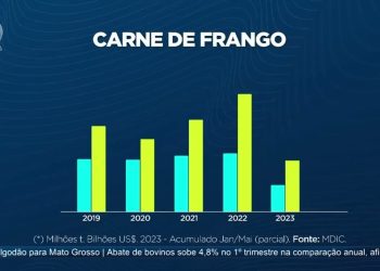carne de aves e suínos tem bom desempenho de janeiro a maio deste ano