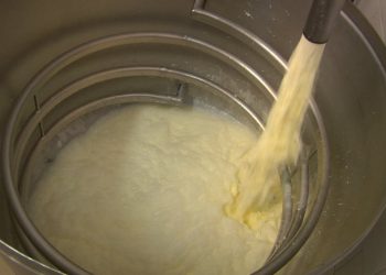crise em cooperativas leiteiras preocupa produtores