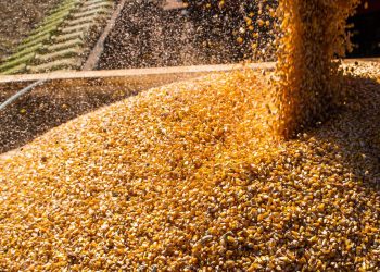 Após 6 anos, Conab retoma política de estoques públicos de alimentos
