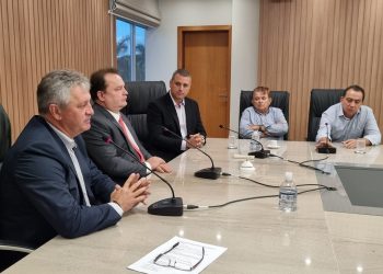 Programa de incentivo a frigoríficos que abatem suínos é prorrogado por seis meses 