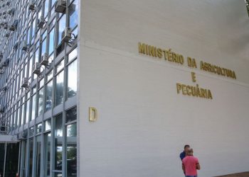 Minas Gerais registra primeiro caso de gripe aviária em pato