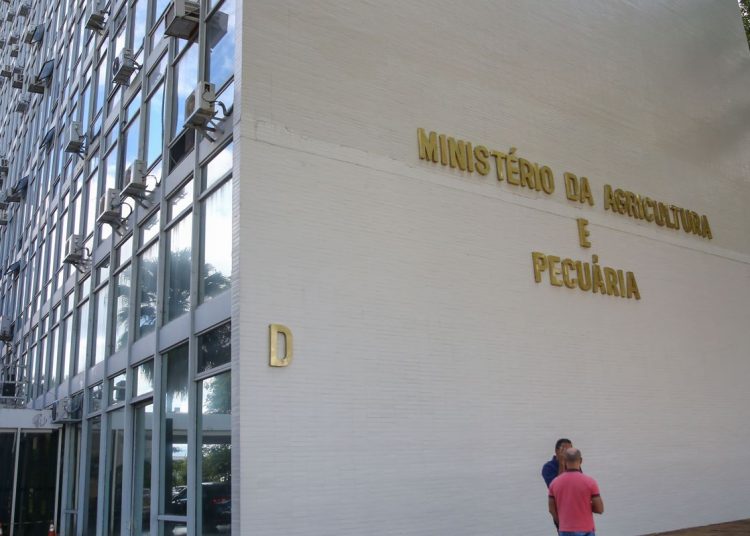 Minas Gerais registra primeiro caso de gripe aviária em pato