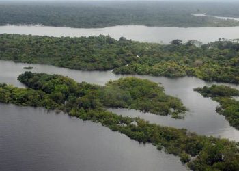 Narcotráfico potencializa destruição ambiental e violação de direitos