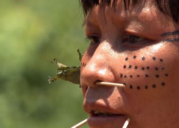 Observatório identifica 42 políticos com fazendas em terras indígenas