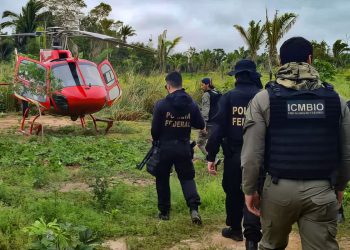 Pesquisa traça conexões entre narcotráfico e crimes ambientais no país